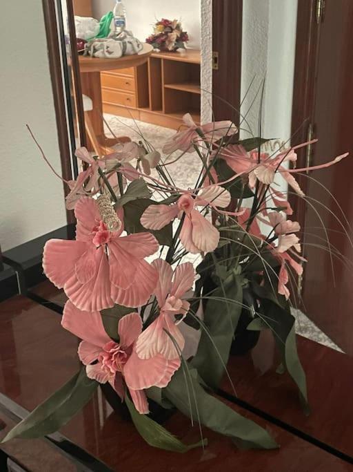 Gran Piso 3 Habitaciones Puerto de Sagunto Ngoại thất bức ảnh